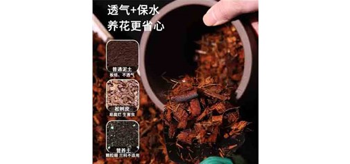 云南低盐椰壳的储存方式有哪些技巧？