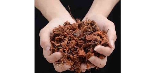 昆明低盐细椰壳与普通椰壳有何不同？