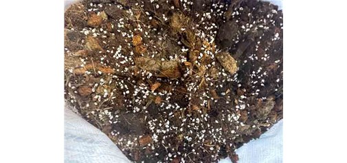 怎样选购适合蓝莓种植的 