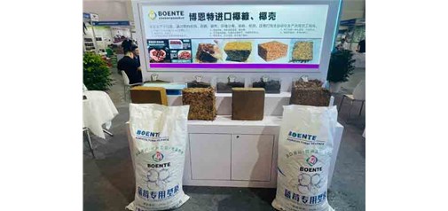昆明蓝莓栽培混合基质使用时有哪些注意事项？