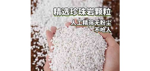 昆明园艺珍珠岩的注意事项有哪些呢？