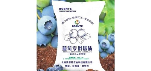 蓝莓栽培混合基质如何适应不同地区？