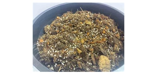 蓝莓基质土是否需要定期翻耕？