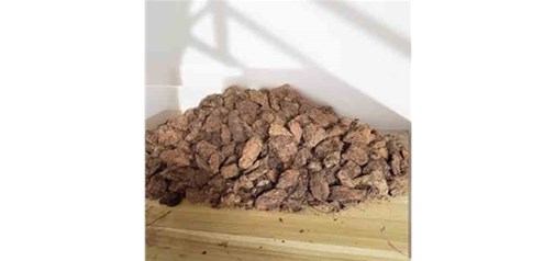 育苗泥炭土对植物根系有何好处？