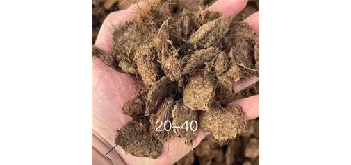 如何判断进口泥炭的质量好坏？昆明博恩特泥炭厂家分享