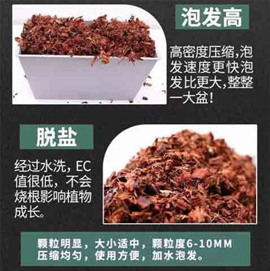 低盐椰壳