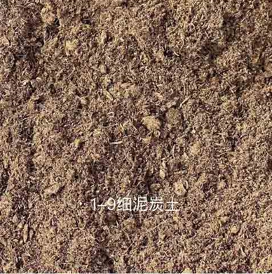 细泥炭2
