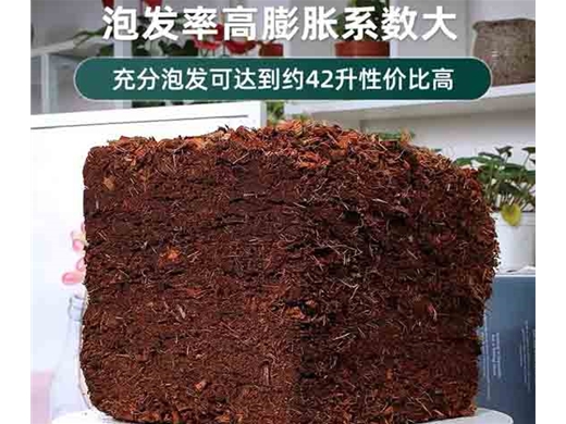 椰糠砖