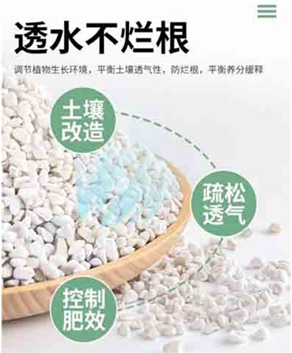 珍珠岩