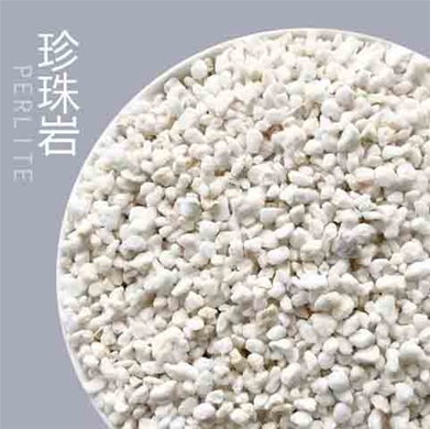 园艺无尘珍珠岩