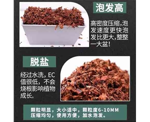 低盐椰壳