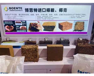 进口椰砖