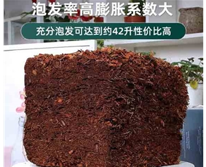 椰糠砖
